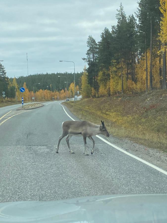 Levillas Levin Tuulahdus Sirkka Exteriér fotografie